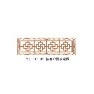 YZ-TP-01